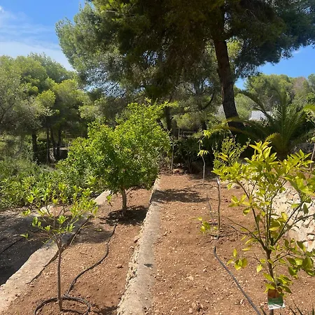 Casa Voskamp * Teulada