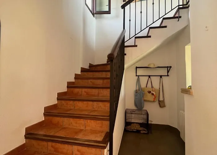 فيلة Casa Voskamp *