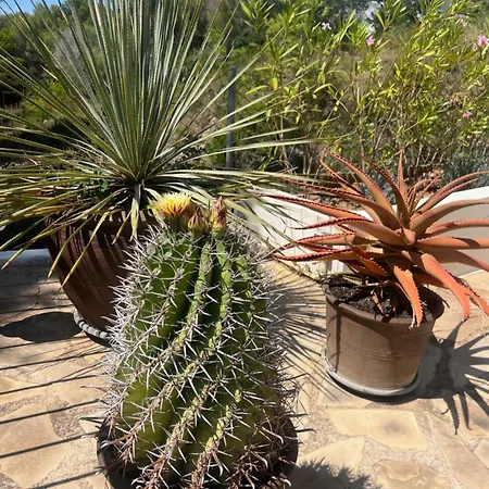 别墅 Casa Voskamp 特乌拉达